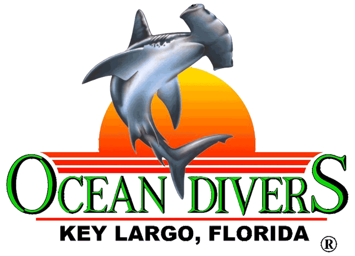 Ocean Divers - Partners of Clifton Diving Ventures